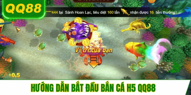 cach-choi-ban-ca-h5-qq88-bat-dau