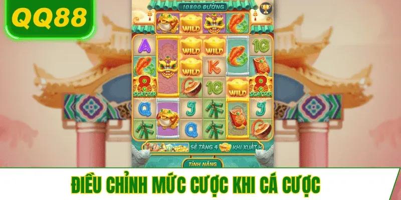 chon-muc-cuoc-thich-hop-khi-ca-cuoc