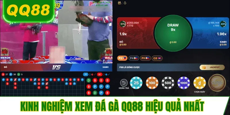 kinh-nghiem-xem-da-ga-qq88-hieu-qua