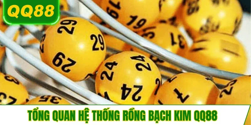 tong-quan-he-thong-rong-bach-kim-qq88