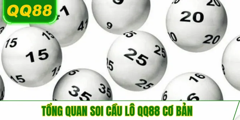 tong-quan-soi-cau-lo-qq88-chi-tiet