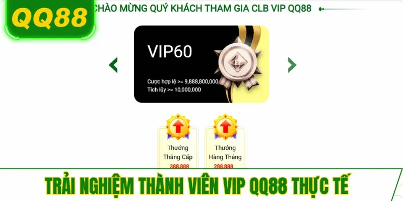 trai-nghiem-vip-qq88-nguoi-dung-thuc-te